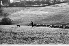 eislingen_1973_008_vogelgarten