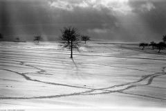 heimat_1973_029_eislingen