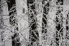 heimat_2022_009_stuifen