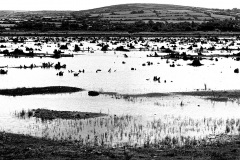 irland_1974_001_stausee bei macroom