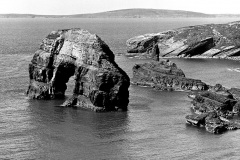 irland_1974_010_virgin rock bei ballybunion, shannonmündung