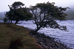 irland_1977_002_connemara