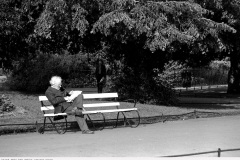 irland_1977_010_dublin, stevens green