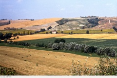 toscana_1987_002