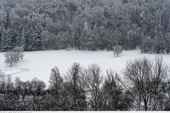 heimat_2015_001_bärenbach