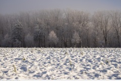 heimat_2020_010_messelberg