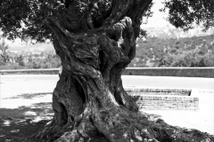 sizilien_1978_028_agrigento