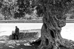 sizilien_1978_029_agrigento