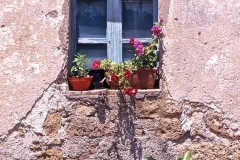 toscana_1987_017