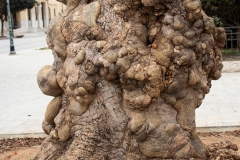 sizilien_2022_015_trapani
