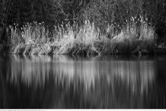 heimat_2015_049_donzdorf_simonsbach stausee